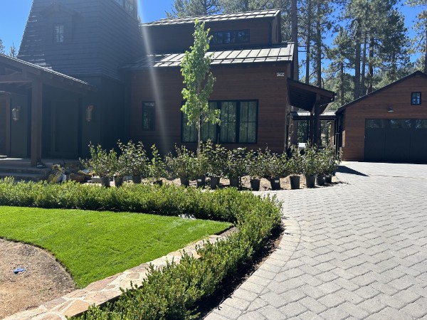 17d22a92-4c90-4cce-aea2-28a3970d081c