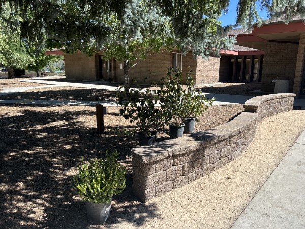 794017af-c01c-449f-9942-4a8f406916e1